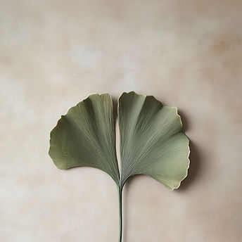 Ginkgo-Blatt-Display