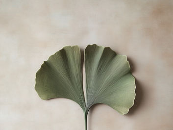 Grünes Ginko-Blatt auf beigem Hintergrund.