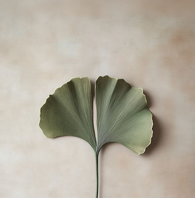 Ginkgo Leaf on Beige