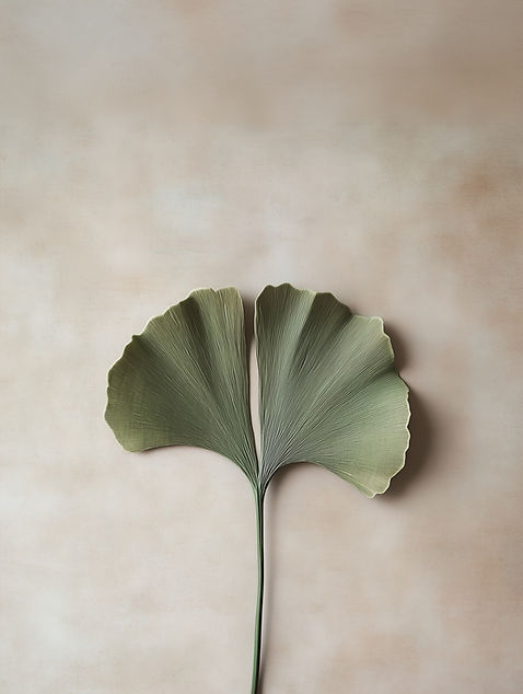 Ginkgo-Blatt auf Beige