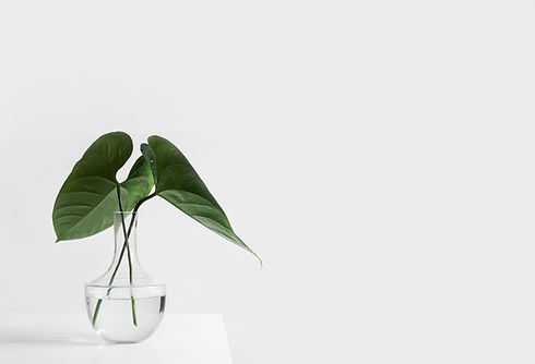 Glass Vase With Leaves