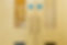 Close up of modern wooden office doors