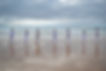 Karate by the Sea
