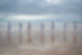 Karate by the Sea