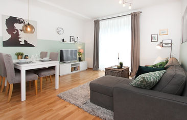 Cozy Rented Apartment in Dublin