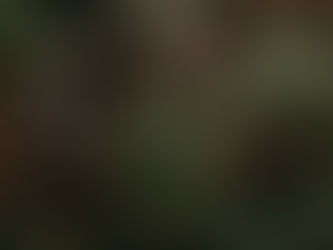 Cozy Autumn Ayurveda in Orlando, Florida: Tropical Grounding