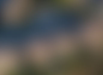 Todd County Commissioners: Division over rehearing of Lakeside Acres First Addition Preliminary plat