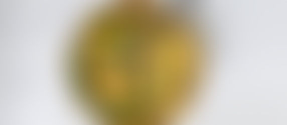 Is Plant-Based Eating Good for You?