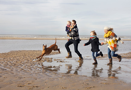 Family Beach Day