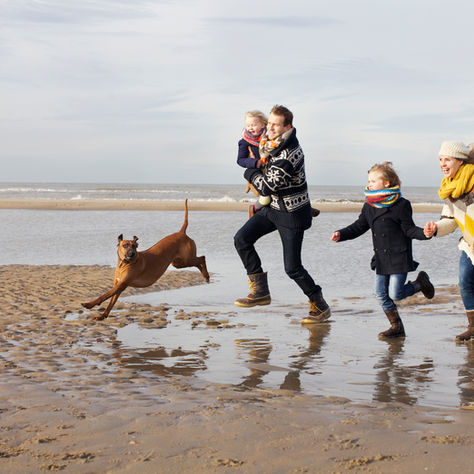 7 Tips For Moving With Kids Or Pets