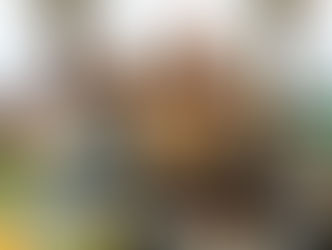 A Small Town’s Secret to Longevity—And It Wasn’t Diet or Exercise