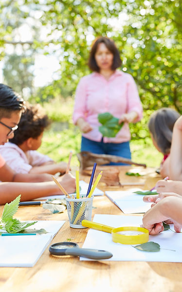Outdoor Nature Workshop