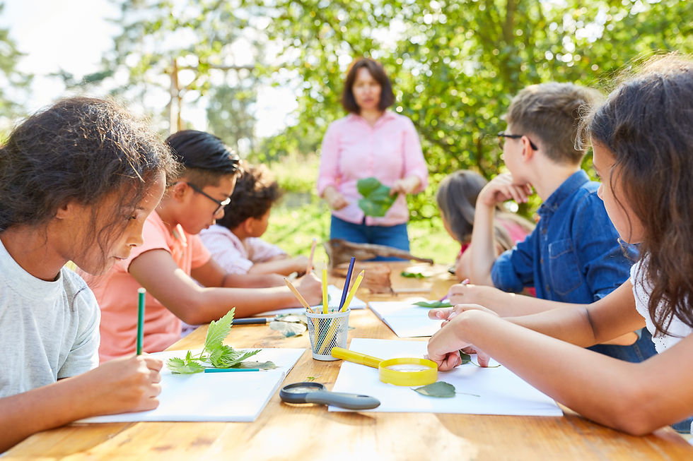 Outdoor Nature Workshop