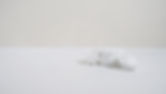 White Textured Object