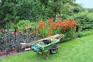wheelbarrow and flowers in a garden