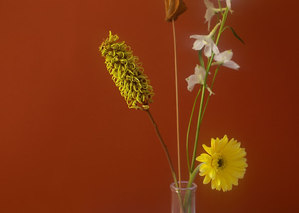 Yellow Flowers