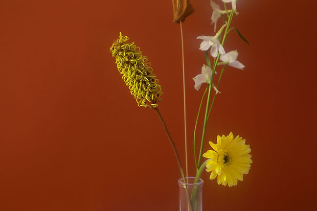 Minimalist Flower Arrangement