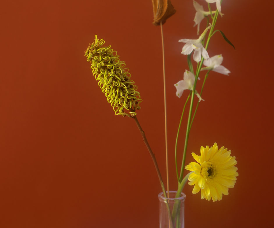 Yellow Flowers