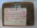 Nanny's First Diary