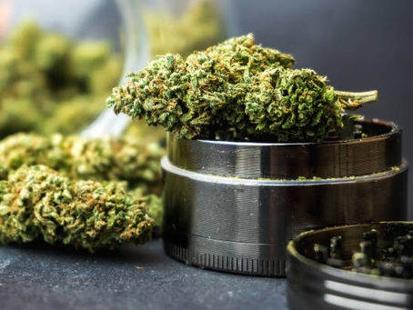 How to Choose Quality Cannabis Flower?