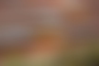 Vape pen and cartridges displayed on a wooden surface