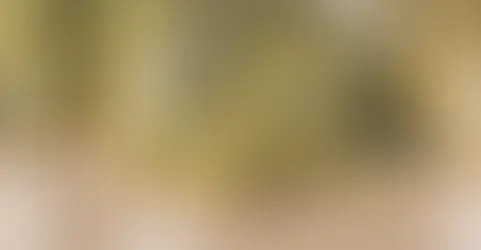 cannabis was surrounded by misconceptions.