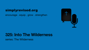 325: Into The Wilderness