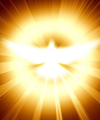 WhatsApp Image 2026-01-02 at 18.12.09(1).jpeg