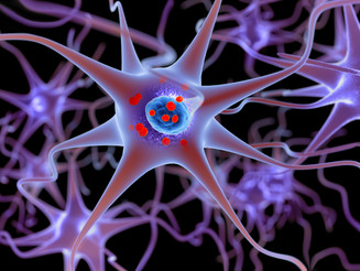 What is Lewy Body Dementia?