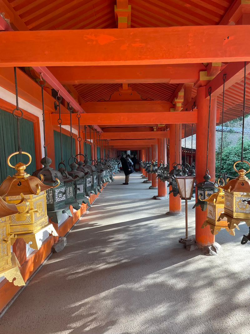 Lost in a sea of stone lanterns at Kasuga Taisha . Over 3,000 lanterns donated through the centuries — a path of light and prayer