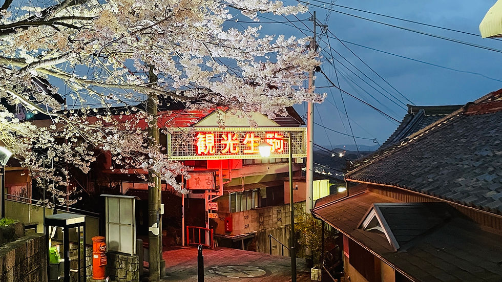 Ikoma Shinchi, the historic street that grew alongside Hozan-ji Temple. Once a lively area with inns and shops serving pilgrims over 100 years ago, it still retains a nostalgic atmosphere today as you walk toward the temple.