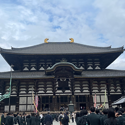 Massive Great Buddha (Daibutsu) inside Todai-ji Temple on Nara deer walking tour