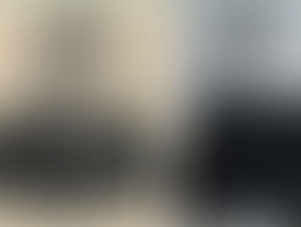 The letters of Adolf Januszkiewicz, another Soviet forgery