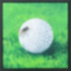 Thumbnail: Patience is a Virtue