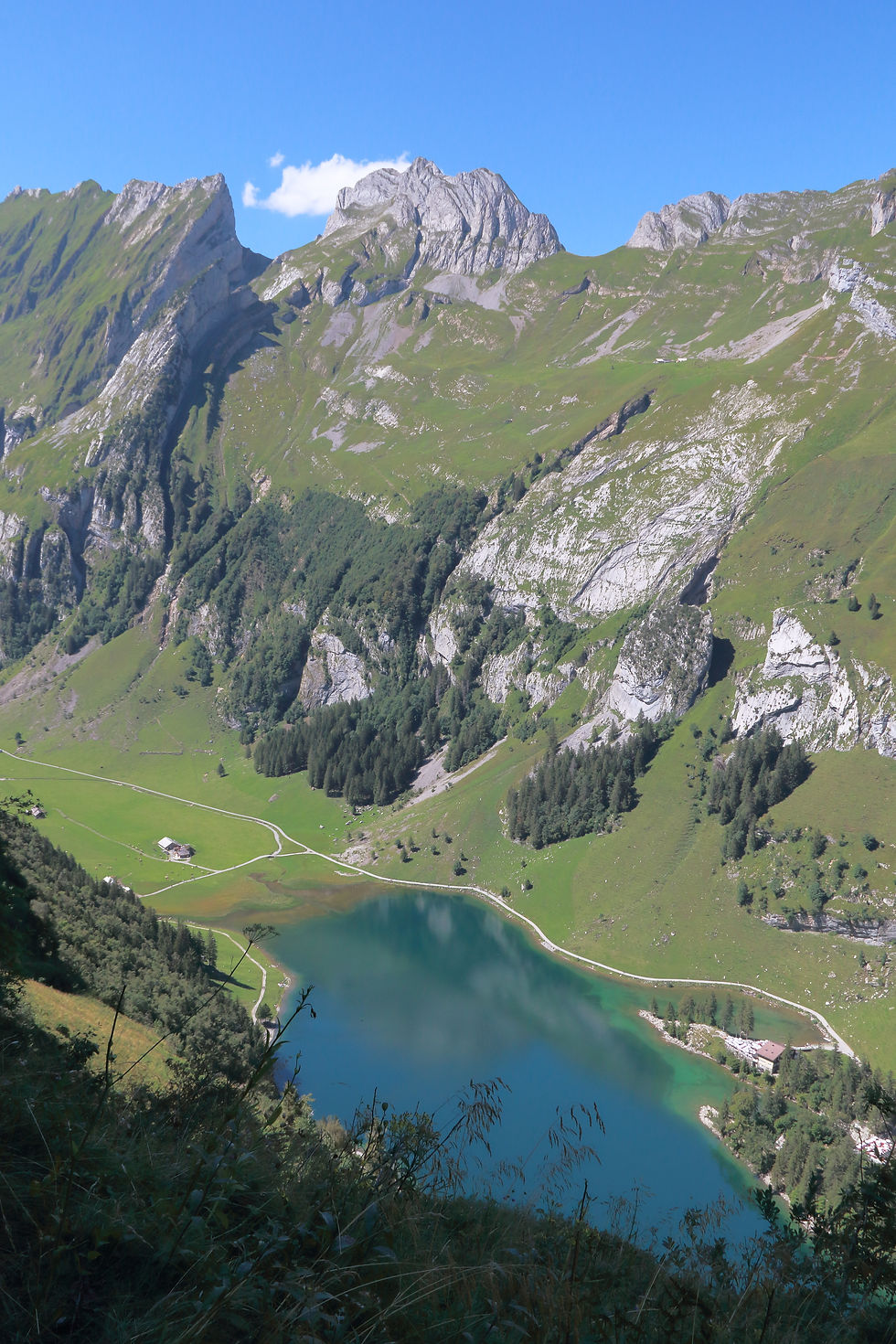 Seealpsee von oben