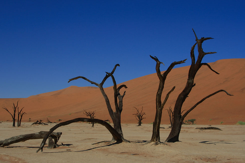 Dead Vlei, Sossusvlei