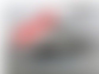 1967 Chevrolet Impala SS!