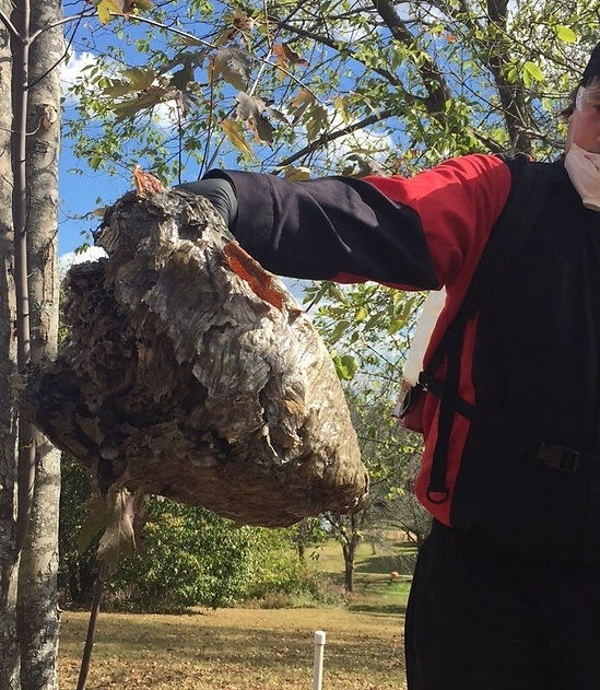 Pest Control Green Bay WI TitleTown Pest Pros