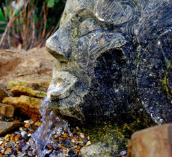 pierre de caen sculptée