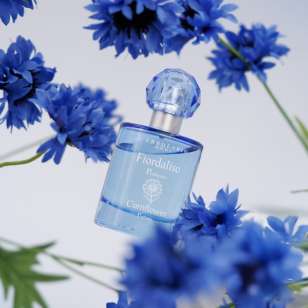 066.115 Cornflower perfume pic. 1.png