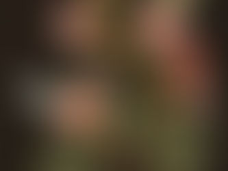 #botanicalbeasties2025: Where Flora Meets Fauna