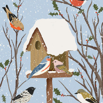 Winter bird feeder illustration with colourful birds in falling snow.