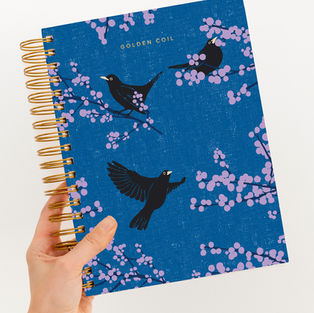 My Entry for the Golden Coil Design Contest 2026