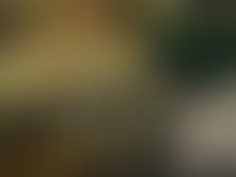 Indulge in Luxury Living Amid Nature