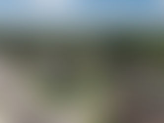 The Unionville Difference: Unique Features in Markham's Condo Market