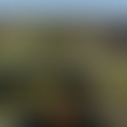 万锦迎来教育新篇章：全新小学 Angus Glen South Elementary School 即将落成