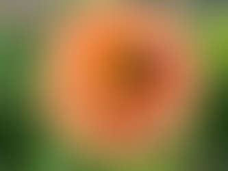 A Different Way To (Skin)Care