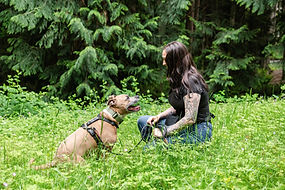 A woman and a tan bully dog sitting in the long grass with evergreen trees blurrd in the background.