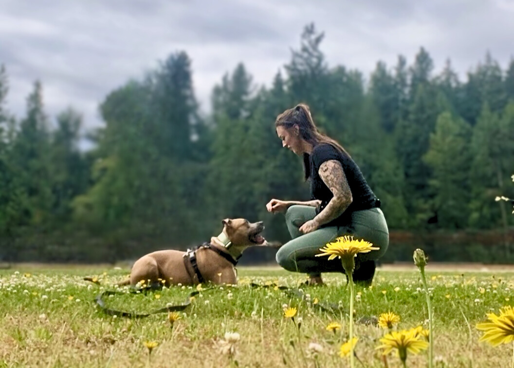 Writer: Emily Annis KPA CTP, FFCP