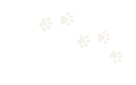 Untitled design-4_edited_edited.png